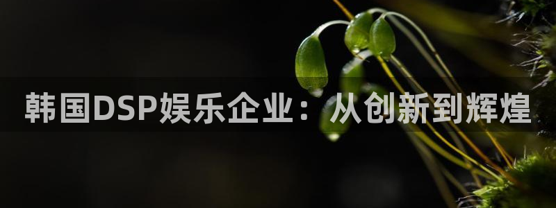 美狮贵宾会ms092