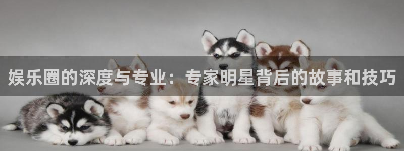 ms美狮贵宾会
