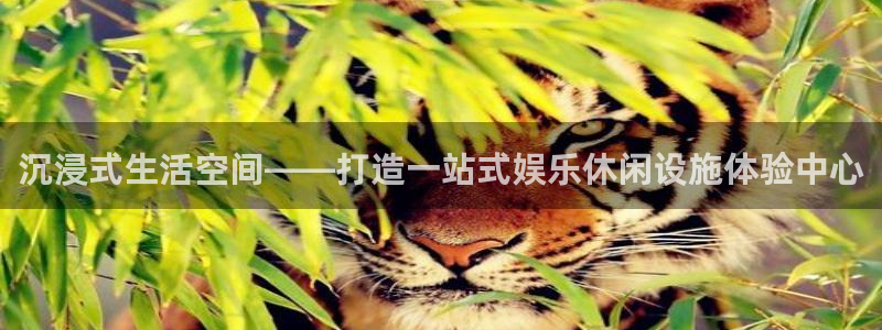 美狮贵宾会092268最新消息官网