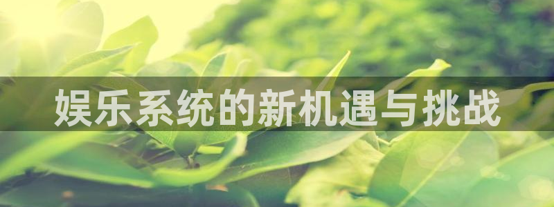 美狮贵宾会ms092021