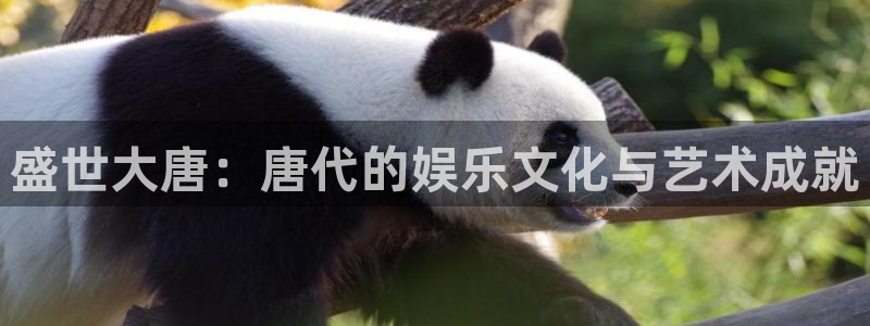 美狮贵宾会0923344