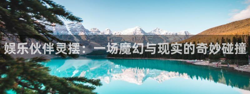 美狮贵宾会ms092021