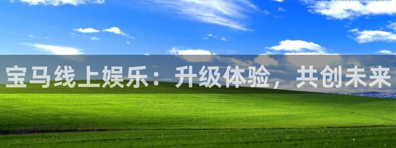 美狮贵宾会ms092021